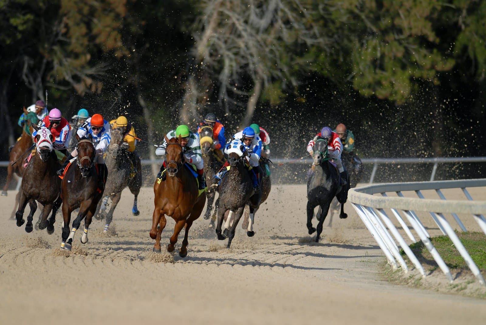 Hipódromo Camarero — Electrical Substation & Track Scoreboard